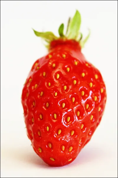 Comment s'appelle ce légume ?