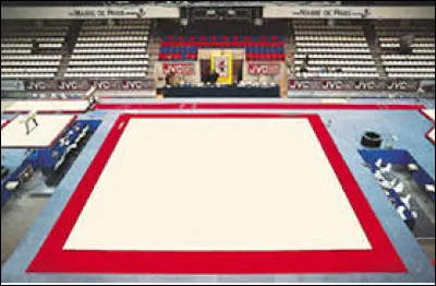 Comment s'appelle ce tapis?