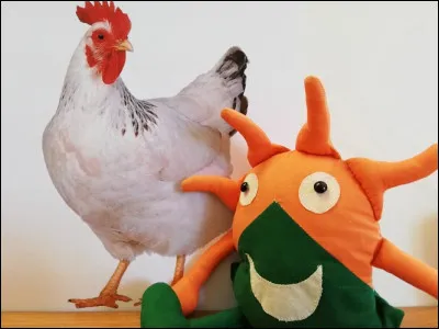 À combien estime-t-on la consommation de déchets organiques d'une poule ?