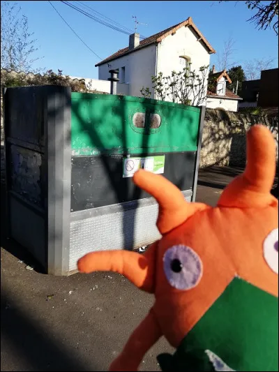 Quel déchet recyclable est le mieux trié ?