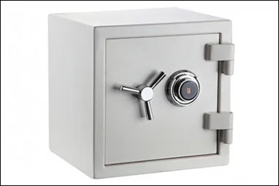 Au pluriel, on écrit des ...