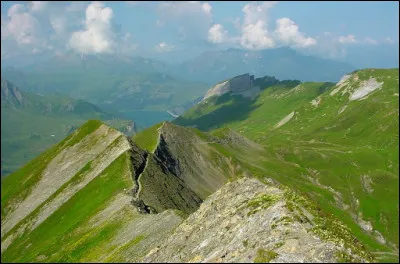 La partie fine au sommet de la montagne s'appelle...
