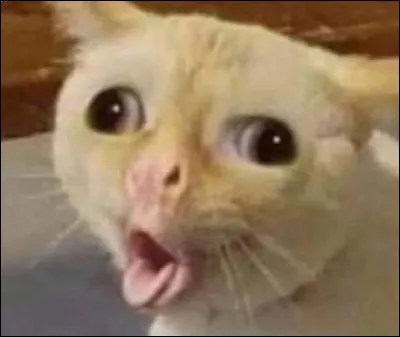 Quand tu tousses, tu tousses...