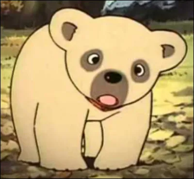 Qui est cette ourse ?