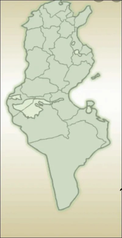 Combien y a-t-il de gouvernorats en Tunisie ?