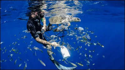 Quel souvenir te semble le plus t'appartenir ou quel souvenir se rapproche le plus de ta réalité ?