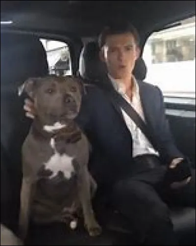 Comment s'appelle sa chienne ?