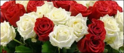 Dans quel pays a eu lieu la guerre des Deux-Roses ?