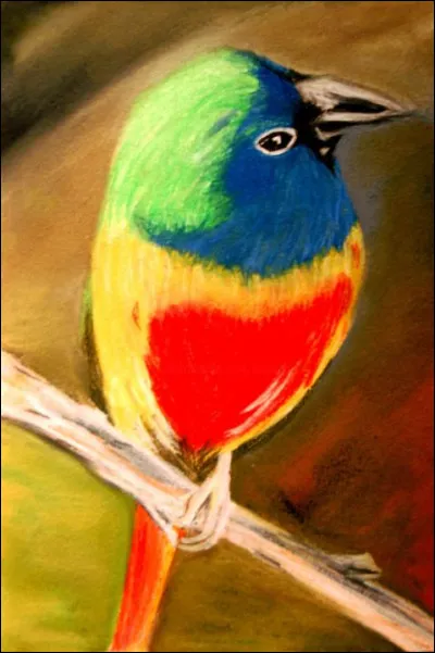 Quelle couleur préfères-tu ?