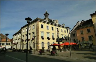 Ville de 10 000 habitants de Franche-Comté, dans le département de la Haute-Saône, située entre Belfort et Montbéliard :