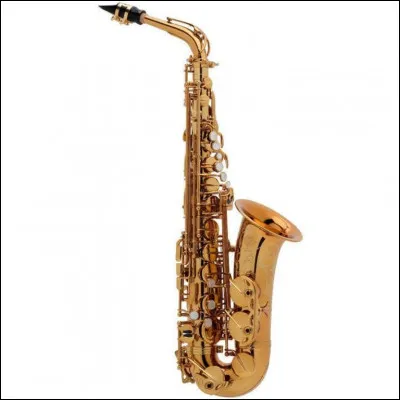 Quel est cet instrument ?