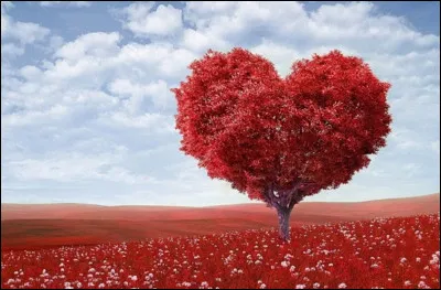 ''Je vais t'aimer'' est un titre de quel chanteur ?