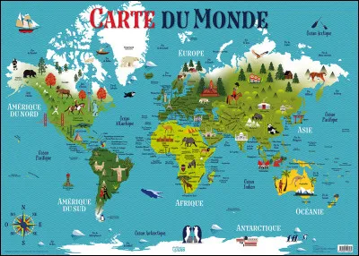 Que nous souhaite Sinsemilia en 2004 ?