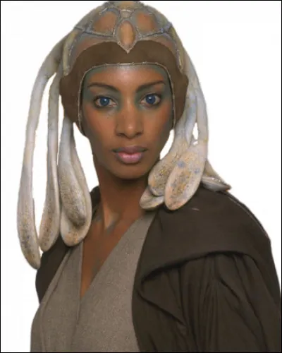 Comment meurt Adi Gallia ?