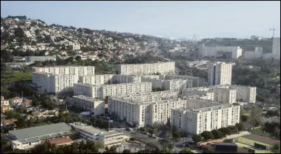 À quelle ville appartient cette cité ?