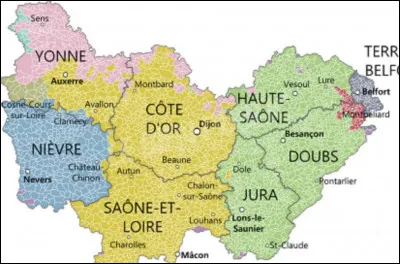 Je suis appelé "Noir de Bourgogne", je suis une variété de fruit d'arbrisseau.
Qui suis-je ?