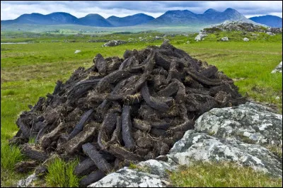 Qu'est-ce qui apporte le côté tourbé dans un malt ?