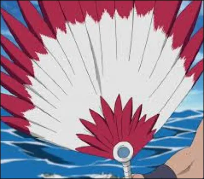 Quel est le pouvoir du Bashôsen ? (trésors du Rikudo)