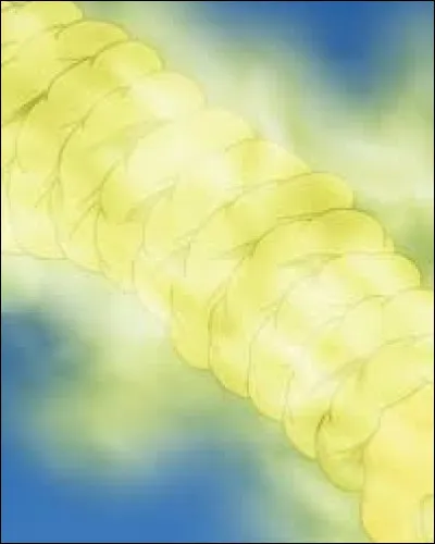 Quel est le pouvoir du Kokinjo ?