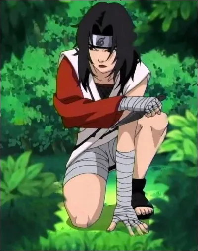 Qui est Kurenai ?