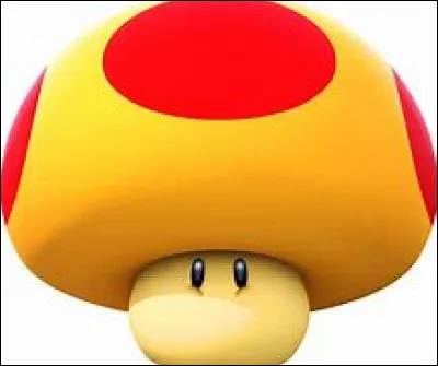 Quel est ce pouvoir, et à quoi sert-il ?