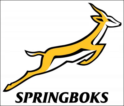D'o&ugrave; vient l'&eacute;quipe de rugby "Springboks" ?