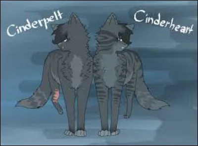 Coeur Cendré est la réincarnation de Museau Cendré.