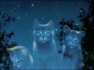 Après la Pierre de Lune, c'est la Source de Lune.