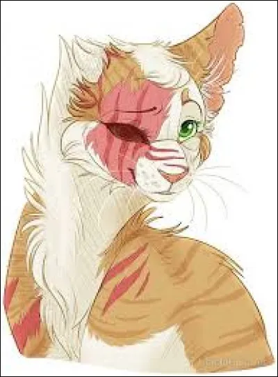 Cette chatte se nomme Coeur Blanc.