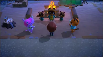 Quelle est la grande nouveauté du début de la vie sur l'île ?