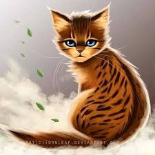 Quiz Animaux