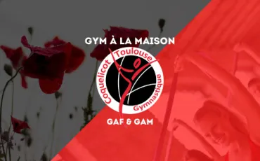 Quiz Gymnastique