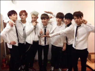 Quel prix avaient-ils remporté lors des ''Melon Music Awards'' en 2013 ?