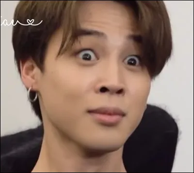 Dans le clip vidéo de ''Run'', deux personnes se font arrêtées. Lesquelles ?