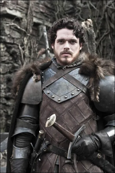 Dans quelle série apparait Robb Stark ?