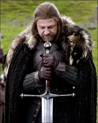 Dans quelle série apparait Eddard Stark ?
