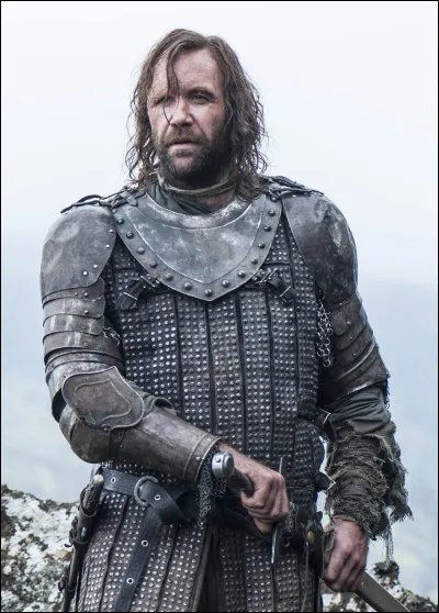Dans quelle série apparait Sandor Clegane ?