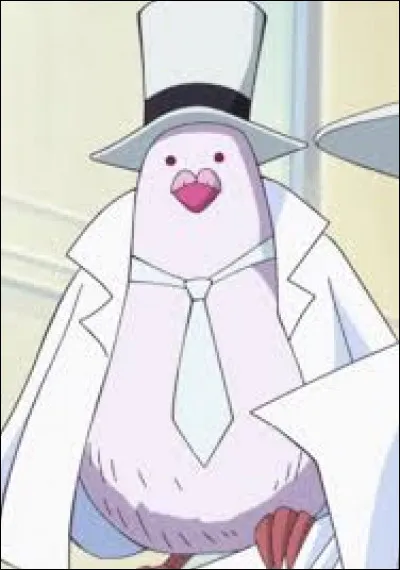 Comment s'appelle le pigeon de Lucci ?