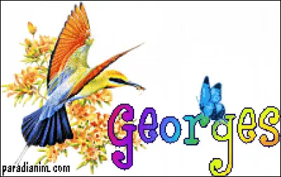 Pas forcément pointilleux, mais sûrement pointilliste, c'est Georges...