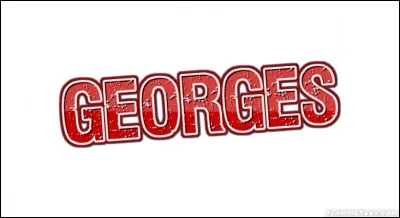 On lui connaît ses mains de maraudeurs, de musicien et de rôdeur, c'est Georges...