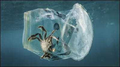 Quel monstre a détruit la planète pour satisfaire ses besoins sans se soucier des conséquences de ses actes ?