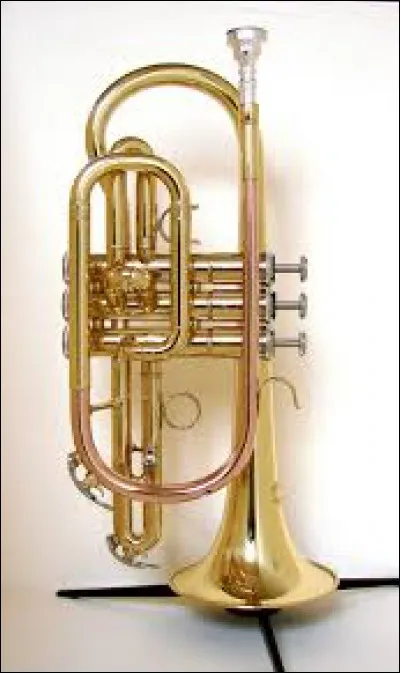 Quel est cet instrument ?