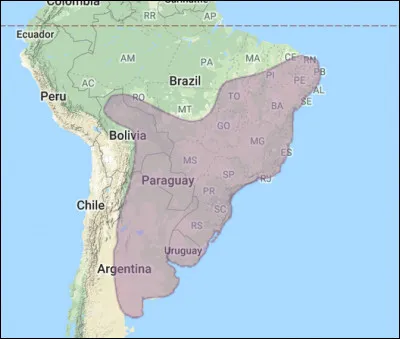 Les familles de ratites actuelles ont toutes des répartitions distinctes les unes des autres. Laquelle de ces familles est endémique d'Amérique du Sud ?
