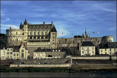 Dans quel château royal, le roi Charles VIII meurt-il en se heurtant violemment la tête à un linteau de pierre d'une porte basse ?