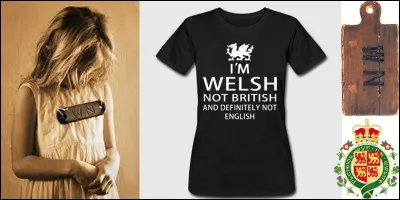 Lettre « W » pour « Welsh » : 
Ce mot (ou cette expression), d'origine étrangère, présente plusieurs significations. Hélas, il a pris une mauvaise connotation dans un pays « uni » (mais pas tant que cela) voisin.
Quelle signification n'a-t-il pas ?