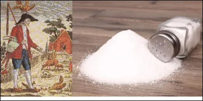 Lettre « H » comme « hanouard » : 
A vous de trouver la signification de ce mot, « hanouard ». Pour vous aider, ce mot à un rapport indirect avec un impôt aujourd'hui disparu !