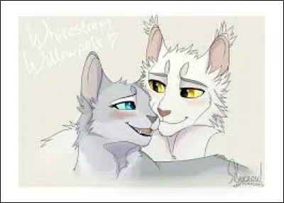 Es-tu amoureux/amoureuse ?