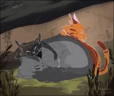 Tu aimes le plus la compagnie...