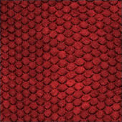 De quoi sont recouverts les dragons ?