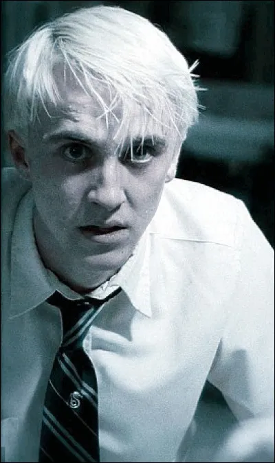 Drago a tué Dumbledore.